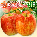 12位! 口コミ数「0件」評価「0」【2024年 令和6年度発送 先行予約】 訳あり 安曇野の シナノドルチェ 約9kg ｜ リンゴ りんご 林檎 果物 フルーツ 果実 果汁 ･･･ 