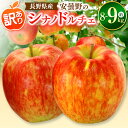 【ふるさと納税】*【2025年先行予約】東印平林農園 訳あり シナノドルチェ 約8〜9kg | リンゴ りんご 林檎 果物 フルーツ 果実 果汁 シナノドルチェ...