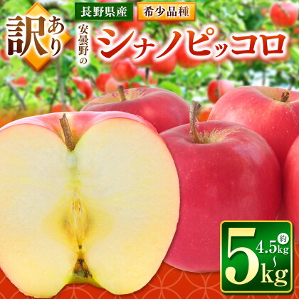【2024年 令和6年度発送 先行予約】安曇野の シナノピッコロ 約4.5～5kg | 果物類 林檎 りんご リンゴ フルーツ 長野県 松川村