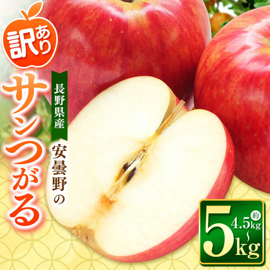 13位! 口コミ数「0件」評価「0」【2024年 令和6年度発送 先行予約】安曇野の サンつがる 約4.5～5kg ｜ リンゴ りんご 林檎 果物 くだもの フルーツ 果実 果･･･ 