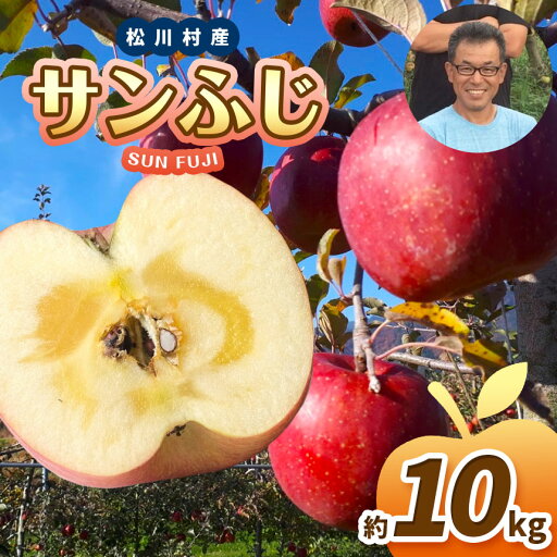 【ふるさと納税】*【2025年先行予約】 北條農園 並品 サンふじ 約10kg | リンゴ りんご 林檎 果物 フルーツ 果実 果汁 サンふじ さんふじ 長野県 松川村 信州 【ふるさと納税】*【2025年先行予約】 北條農園 並品 サンふじ 約10kg | リンゴ りんご 林檎 果物 フルーツ 果実 果汁 サンふじ さんふじ 長野県 松川村 信州
