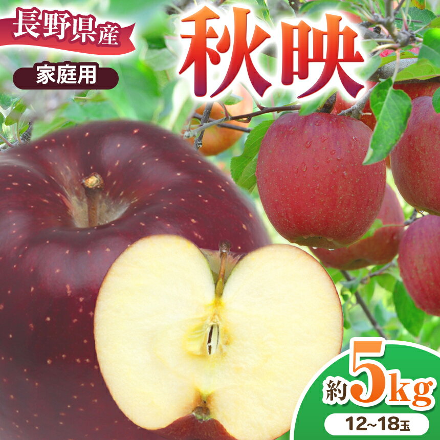 *[2025年先行予約]家庭用 秋映 約5kg | 北條農園 リンゴ りんご 林檎 果物 フルーツ 果実 果汁 秋映 家庭用 長野県 松川村 信州