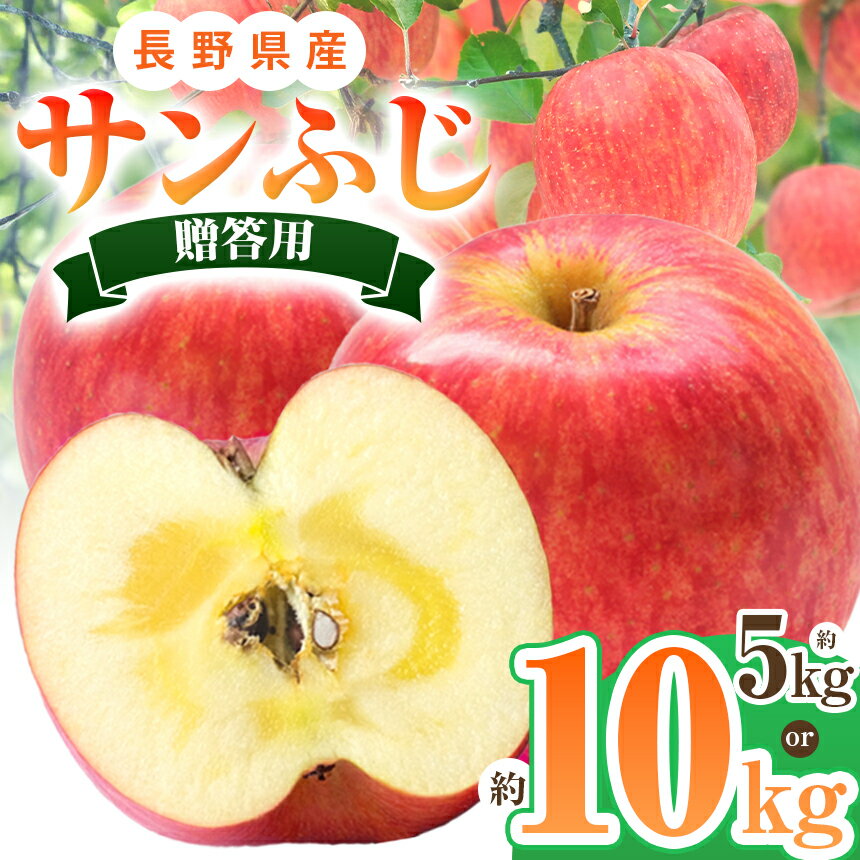 *[2025年先行予約]贈答用 サンふじ 5kg ・ 10kg | 北條農園 リンゴ りんご 林檎 果物 フルーツ 果実 果汁 サンふじ サンフジ 贈答用 長野県 松川村 信州