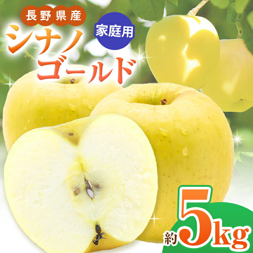 *[2025年先行予約]家庭用 シナノゴールド 5kg | 北條農園 リンゴ りんご 林檎 果物 フルーツ 果実 果汁 シナノゴールド 家庭用 長野県 松川村 信州