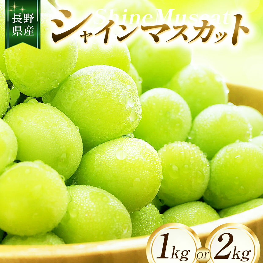 【ふるさと納税】【2025年先行予約】 ちのふぁーむ シャインマスカット 1kg・2kg | 果物 ぶどう 葡萄 シャインマスカット フルーツ 果物 デザート 食後 おやつ 果汁 皮ごと ジューシー 日本産 国産 産地直送 長野県松川村 信州