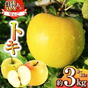 【ふるさと納税】【 令和7年度産 先行予約 】浅野農園 松川村産 訳あり トキ 3kg | リンゴ りんご 林檎 果物 くだもの フルーツ 果実 果汁トキ 訳あり 長野県 松川村 信州(4)