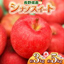 【ふるさと納税】【2025年先行予約】浅野農園 シナノスイート 3kg ・ 5kg| リンゴ りんご 林檎 果物 くだもの フルーツ 果実 果汁 シナノスイート 長野県 松川村 信州
