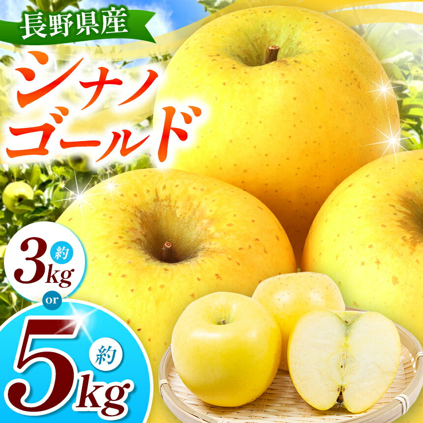 【ふるさと納税】【2025年先行予約】浅野農園 シナノゴールド 3kg ・ 5kg| リンゴ りんご 林檎 果物 くだもの フルーツ 果実 果汁 シナノゴールド 長野県 松川村 信州