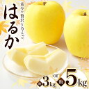 【ふるさと納税】【2025年先行予約】浅野農園 はるか 3kg ・ 5kg| リンゴ りんご 林檎 果物 くだもの フルーツ 果実 果汁 はるか 長野県 松川村 信州 北アルプス(4)