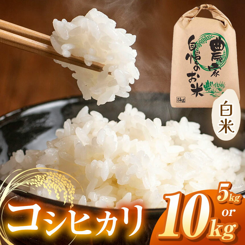 楽天市場】長野 コシヒカリ 10kg 送料無料の通販 楽天市場】長野 コシヒカリ 10kg 送料無料の通販