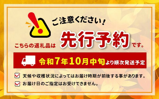 【ふるさと納税】*【2025年先行予約】北條農園 家庭用 シナノスイート 約5kg | 家庭用 果物類 林檎 りんご リンゴ シナノスイート シナノ3兄弟 長野県 松川村 まつかわ 長野 信州