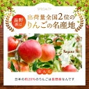 長野県松川村の画像3