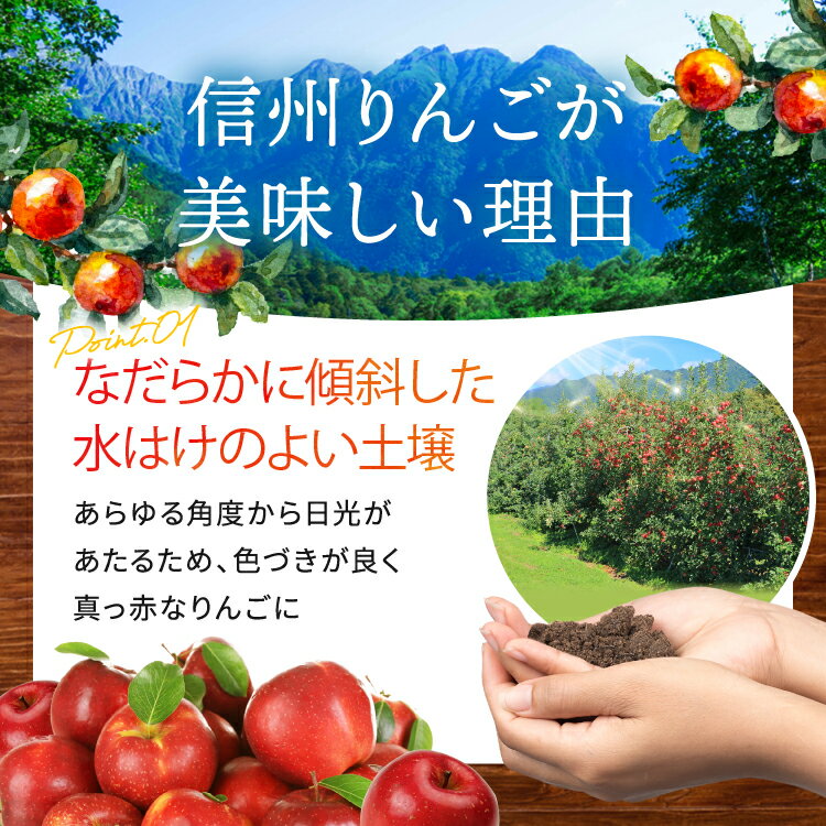 長野県松川村の画像3