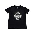 【ふるさと納税】B014-11 THE NORTH FACE 白馬オリジナルTシャツ メンズ ブラック Mサイズ