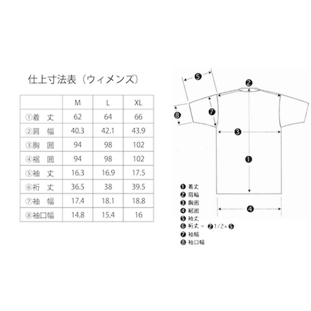 【ふるさと納税】THE NORTH FACE 白馬三山Tシャツ　ウィメンズ　半袖　ティーシャツ　カットソー　ノースフェイス　サイズM L XL XXL　大きいサイズ　WOMENS　レディース　ザ・ノース・フェイス　2025NEWデザイン