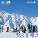 【ふるさと納税】エイブル白馬五竜＆Hakuba47　共通リフト一日券　大人