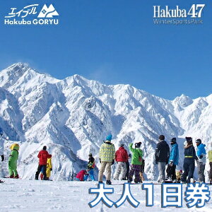 【ふるさと納税】C022-06 エイブル白馬五竜＆Hakuba47共通リフト大人1日券