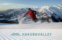 HAKUBA VALLEY 10スキー場共通1日券 5枚