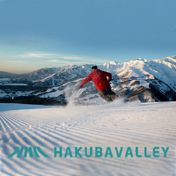 【ふるさと納税】HAKUBA VALLEY 10スキー場共通1日券 大人券 (13歳以上対象) 選べる!【1枚・3枚・5枚】 長野県白馬村・小谷村・大町市 北アルプス 白馬バレー 全10スキー場 ゲレンデ スキー・スノーボード 先行予約 旅行 スノーリゾート