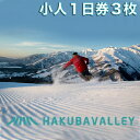 HAKUBA VALLEY 9スキー場　共通リフト1日券　小学生（3枚）