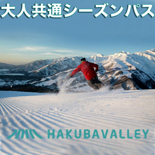 【ふるさと納税】HAKUBA VALLEY 10スキー場共通シーズンパス 大人券 （13歳以上対象） シーズン券　白馬村・小谷村・大町市　23−24シーズン　スキー　スノーボード　長野県白馬村ふるさと納税