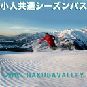 【ふるさと納税】HAKUBA VALLEY 10スキー場　共通シーズンパス　小人（6歳以上12歳以下）