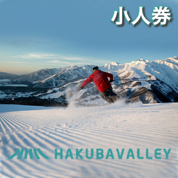 【ふるさと納税】【ふるさと納税】HAKUBA VALLEY 10スキー場共通1日券 こども券 （6歳以上12歳以下対象） 選べる！【1枚・3枚・5枚】　白馬村・小谷村・大町市　23−24シーズン　スキー　スノーボード　長野県白馬村ふるさと納税