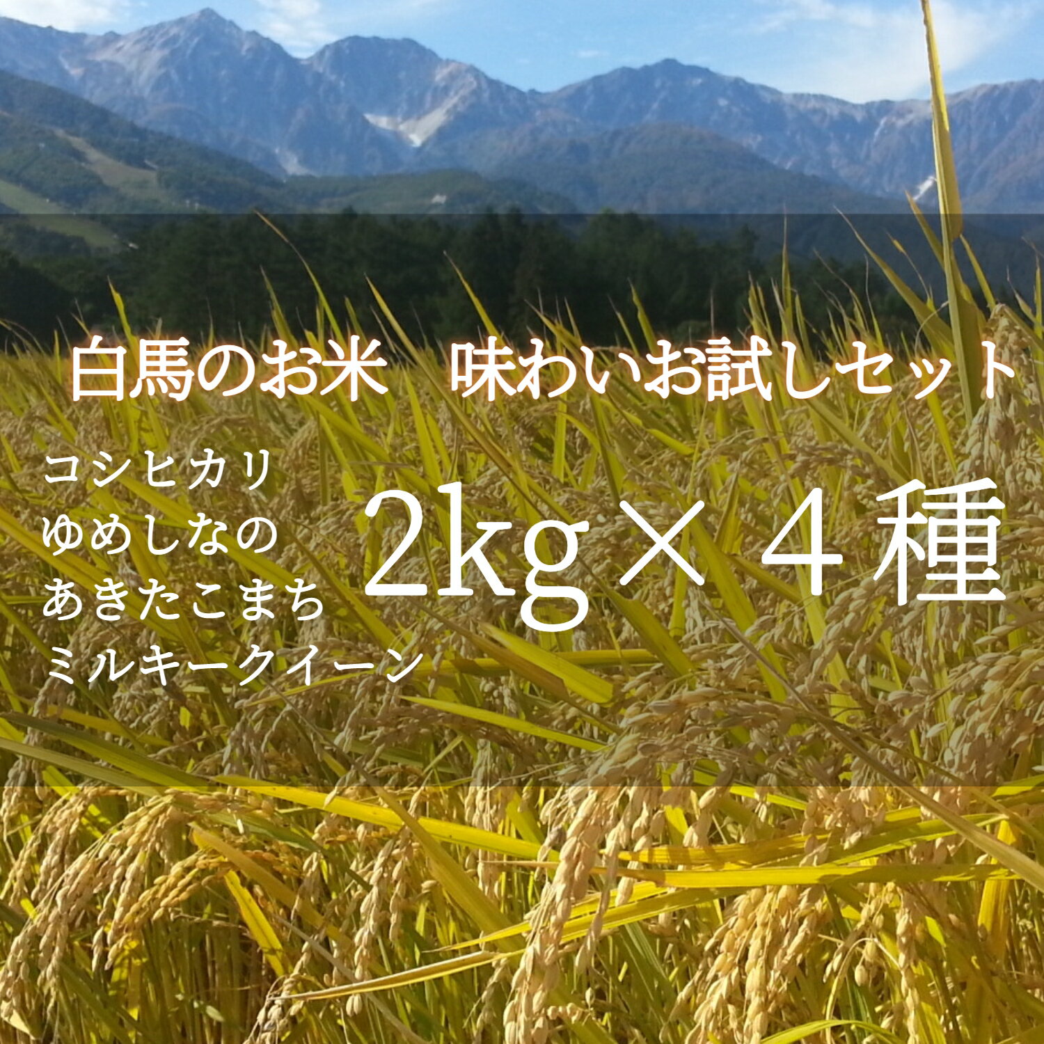【ふるさと納税】B014-02 白馬のお米 味わいお試しセット 2kg×4種