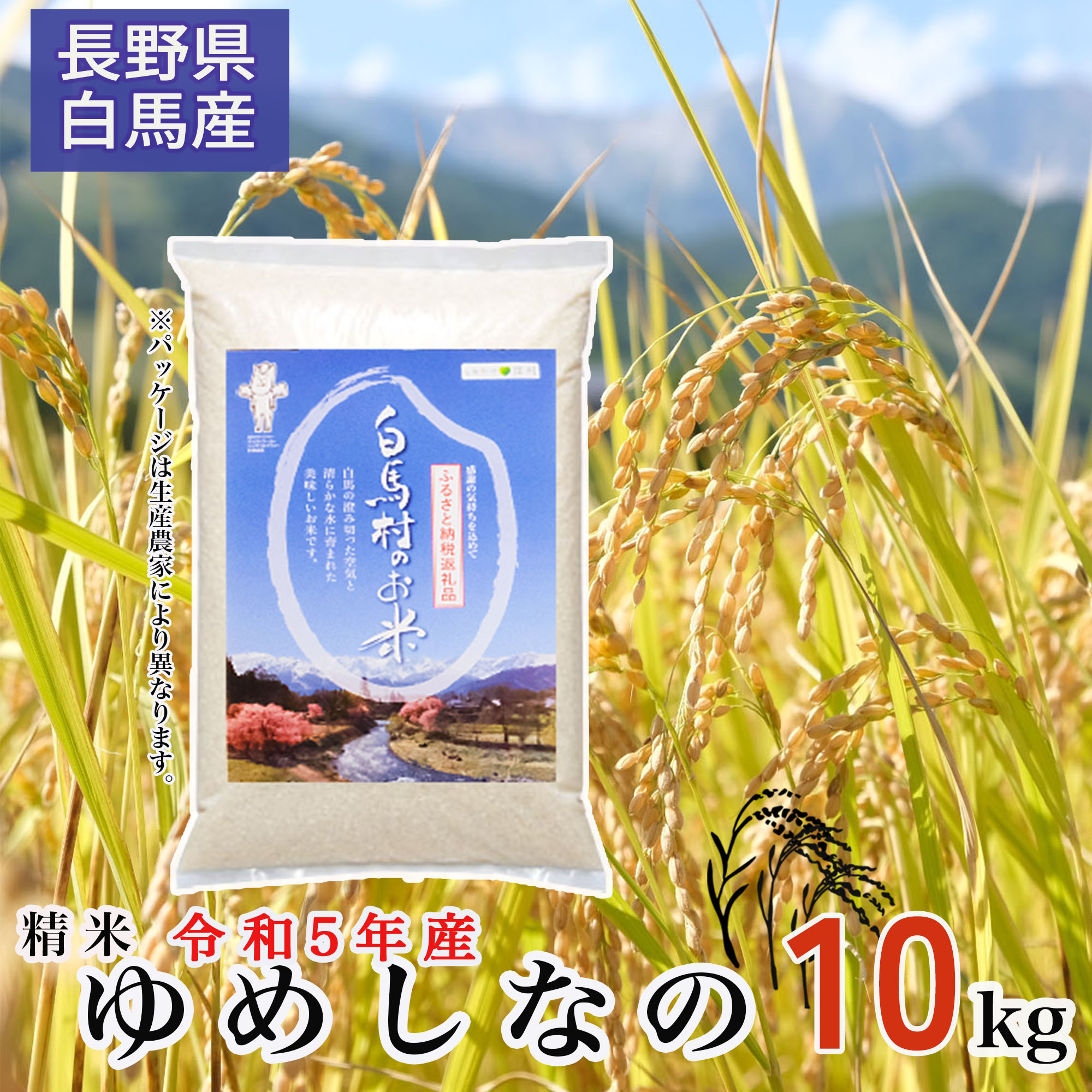 【ふるさと納税】2023年産米　長野県白馬村産ゆめしなの【選べる！5kg・8kg・10kg・玄米30kg】令和5年産米　精米後即出荷　玄米対応可　白米　あっさりおいしい　濃いめの味付けに合う　ふるさと納税　長野県白馬村　信州