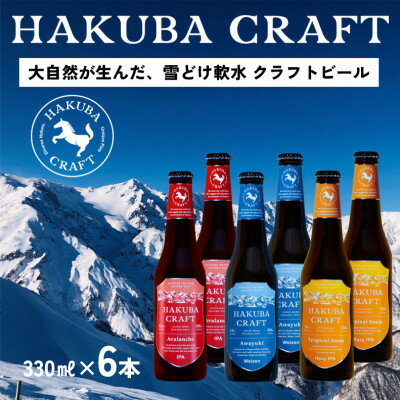 HAKUBA CRAFT 定番3種 6本セット【配送不可地域：離島】【1464777】