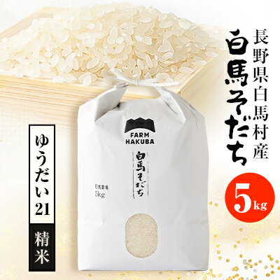 【令和5年産】『白馬そだち』長野県白馬村産　お米　ゆうだい21　5kg(精米)【1468505】