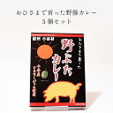 14位! 口コミ数「0件」評価「0」おひさまで育った野豚カレー5個セット｜国産 信州産 お肉 ブランド豚 小谷野豚 おたり野豚 放牧豚　カレー ふるさと納税