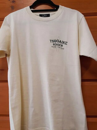 オリジナルTシャツ(Lサイズ)