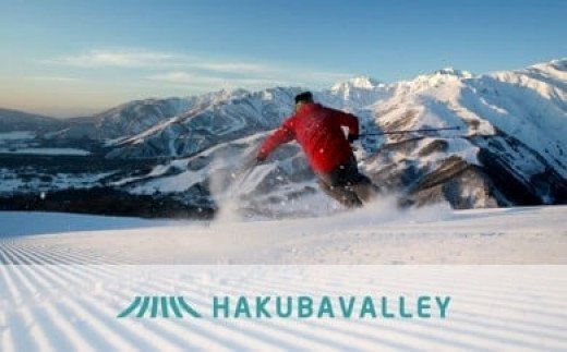 【ふるさと納税】HAKUBA VALLEY 9スキー場共通1日券（2枚）｜ 白馬五竜 Hakuba47 白馬八方尾根 白馬岩岳 栂池高原 白馬乗鞍温泉 白馬コルチナ 鹿島槍 爺ガ岳 スキーチケット ペアチケット 小谷村･･･