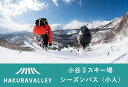 【ふるさと納税】HAKUBA VALLEY OTARI 3スキー場共通シーズンパス（小人）1枚