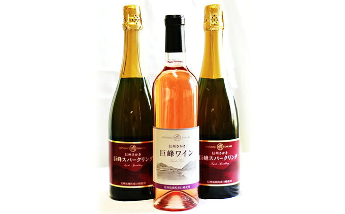 【ふるさと納税】坂城産巨峰スパークリングワイン2本と巨峰ワイン1本セット　【ワイン・お酒】