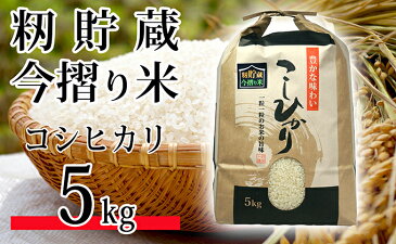 【ふるさと納税】【籾貯蔵　今摺り米】コシヒカリ5kg　【お米・コシヒカリ】