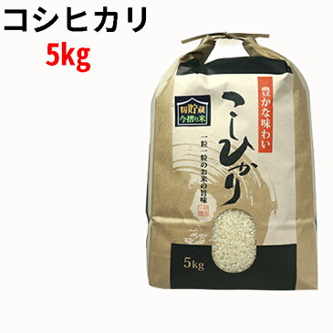 【ふるさと納税】【籾貯蔵　今摺り米】コシヒカリ5kg　【お米・コシヒカリ】