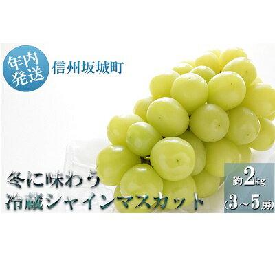 【ふるさと納税】冬に味わう！冷蔵貯蔵シャインマスカット約2kg　(3〜5房)　【果物類・ぶどう・マスカット・フルーツ】　お届け：2019年11月上旬〜12月下旬