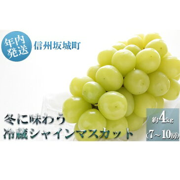 【ふるさと納税】冬に味わう！冷蔵貯蔵シャインマスカット約4kg (7〜10房)　【果物類・ぶどう・マスカット・フルーツ】　お届け：2019年11月上旬〜12月下旬