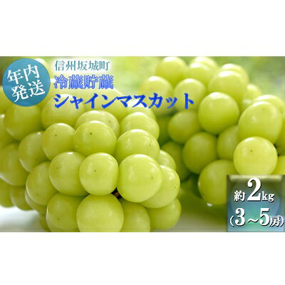 【ふるさと納税】【11・12月発送】冬に味わう！冷蔵貯蔵シャインマスカット 約2kg (3〜5房) 長野 信州 坂城 冷蔵シャイン 産地直送 宮原農園 年内発送　【ぶどう・ブドウ・マスカット・フルーツ・シャインマスカット・約2kg】　お届け：2022年11月上旬〜12月下旬