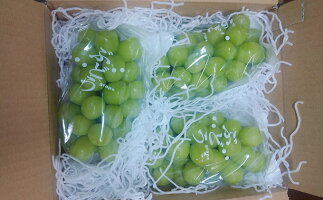 長野県坂城町 ふるさと納税 坂城 ブドウ 11 12月発送 富山葡萄園の冷蔵シャインマスカット約2kg 3 4房 長野 信州 坂城 産地直送 配送不可エリアあり 信州 果物類 ぶどう マスカット フルーツ シャインマスカット お届け 21年11月中旬 12月下旬 長野県坂城町 長野県坂城町 ふるさと納税 坂城 ブドウ 11 12月発送 富山葡萄園の冷蔵シャインマスカット約2kg 3 4房 長野 信州 坂城 産地直送 配送不可エリアあり 信州 果物類 ぶどう マスカット フルーツ シャインマスカット お届け 21年11月中旬 12月下旬 長野県坂城町