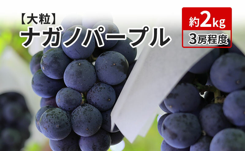 【ふるさと納税】ナガノパープル 約2kg 3～4房 長野 坂城町産 ぶどう K＆Y農園 ブドウ フルーツ 果物　【 果物類 】　お届け：2024年9月上旬～9月下旬