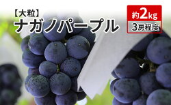 【ふるさと納税】K＆Y農園 長野県坂城町産 ナガノパープル 約2kg（3房程度）　【果物類・ぶどう・巨峰・フルーツ】　お届け：2023年9月上旬〜2023年9月下旬･･･ 画像1