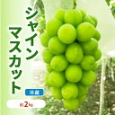 【ふるさと納税】【年内お届け】シャインマスカット 冷蔵 約2kg 3～4房 長野 坂城町産 ぶどう K＆Y農園 ブドウ フルーツ 果物 シャイン..