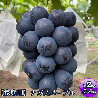 【ふるさと納税】【家庭用】ナガノパープル約2kg（約3〜4房）　【 果物 ぶどう フルーツ おやつ デザート 有機肥料 減農薬 芳潤な甘さ 種なし 大粒 早期収穫 みずみずしい 坂城町産 長野県産 】　お届け：2023年9月1日〜9月下旬のサムネイル