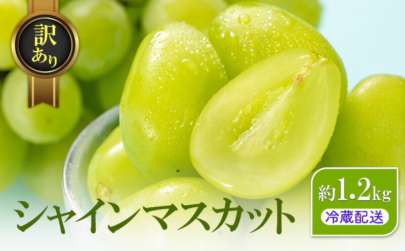 【ふるさと納税】訳あり シャインマスカット 約1.2kg 粒 YANAGISAWA ぶどう 長野 マスカット ブドウ フルーツ 果物 シャイン　お届け：2025年9月中旬～2024年11月上旬