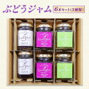【ふるさと納税】ぶどうジャム 6本セット(3種類)ジャム ブドウ 瓶 ギフト 長野 信州 坂城