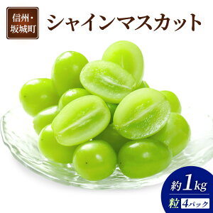 【ふるさと納税】ぶどう シャインマスカット 4パック 約1kg 葡萄 ブドウ フルーツ 果物 デザート おやつ 信州 長野 坂城町 お届け:2025年9月下旬~2025年11月下旬