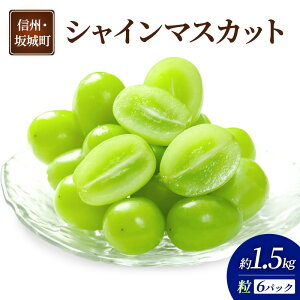 【ふるさと納税】ぶどう シャインマスカット 6パック 約1.5kg 葡萄 ブドウ フルーツ 果物 デザート おやつ 信州 長野 坂城町 お届け:2025年9月下旬~2025年11月下旬